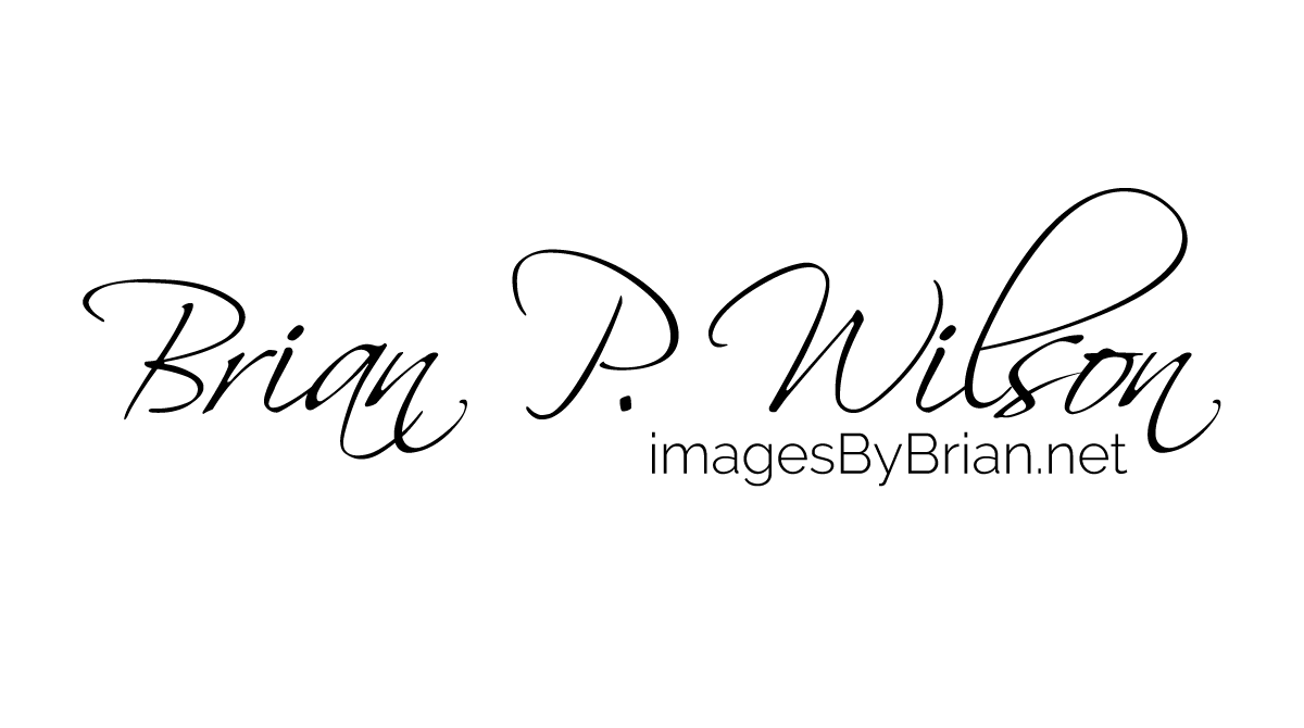 bwilson logo